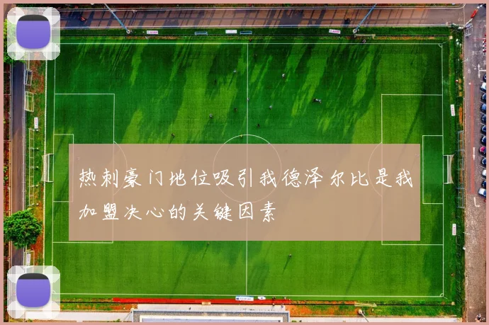 热刺豪门地位吸引我德泽尔比是我加盟决心的关键因素