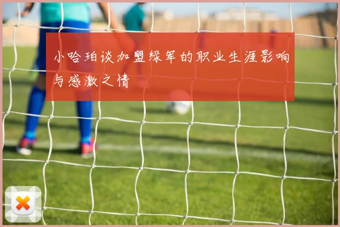 小哈珀谈加盟绿军的职业生涯影响与感激之情