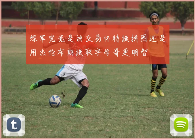 绿军究竟是该交易怀特换拼图还是用杰伦布朗换取字母哥更明智