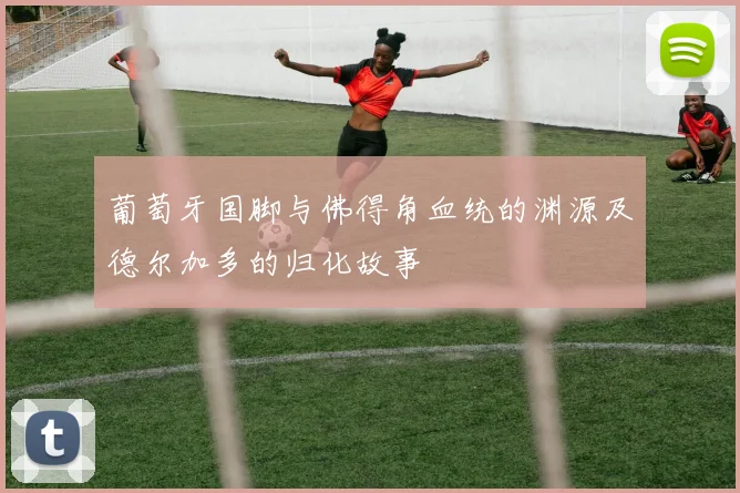 葡萄牙国脚与佛得角血统的渊源及德尔加多的归化故事