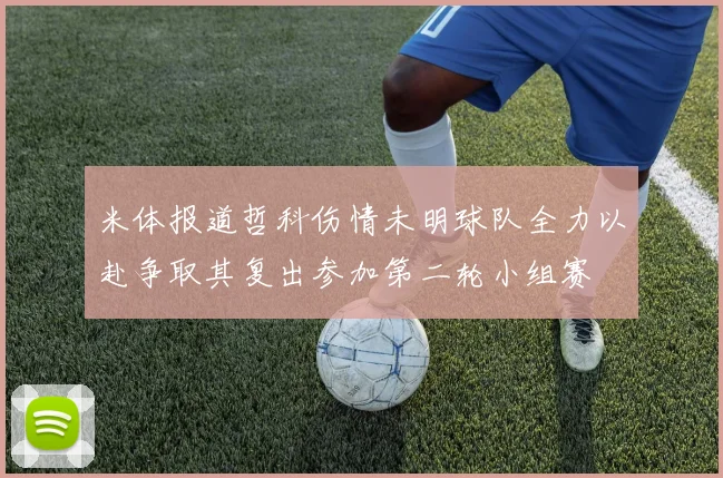 米体报道哲科伤情未明球队全力以赴争取其复出参加第二轮小组赛