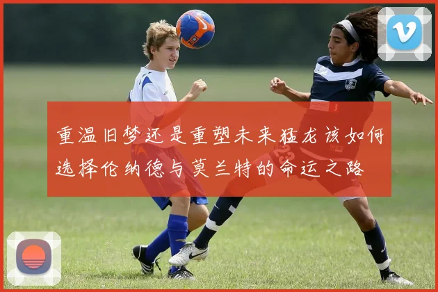 重温旧梦还是重塑未来猛龙该如何选择伦纳德与莫兰特的命运之路